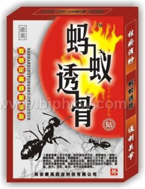 ����͸����