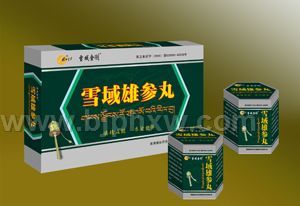 ѩ���۲���