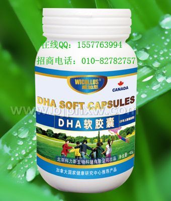 ����֧����ĿDHA�����ң������ͯ�����أ�