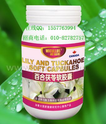 ����֧����Ŀ�ٺ�����������