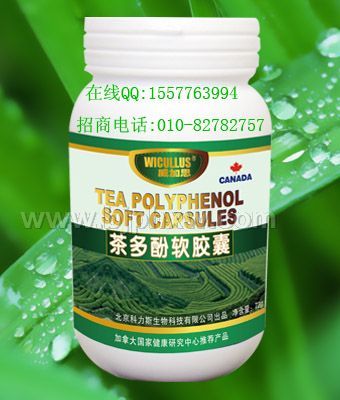 ����֧����Ŀ����������