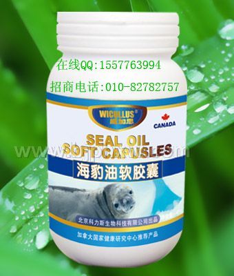 ����֧����Ŀ������������