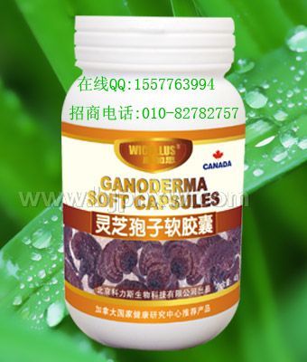 ����֧����Ŀ��֥���ӷ۽���