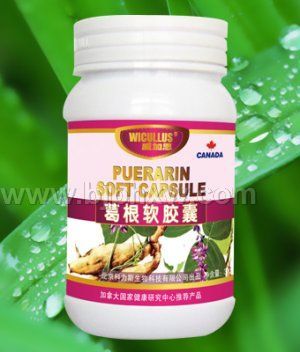 �����ͪ�����ҡ��������屣����