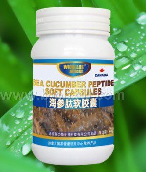 ����������ҡ�������Ѫ����������̾���Ԫ