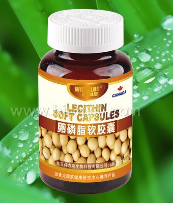 ������֬���ң���ʳ���֣�