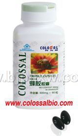 ��ʳ���� �佺