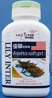 �ٺϹ��ʳ��������