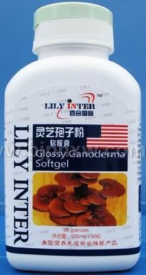 �ٺϹ�����֥���ӷ۽���