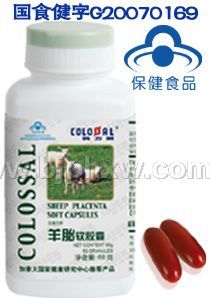 ������̥������