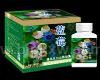 �� ݮ �� �� ��