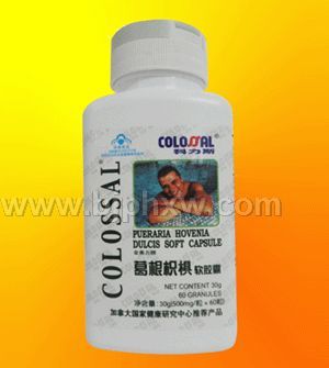 ����ח�������