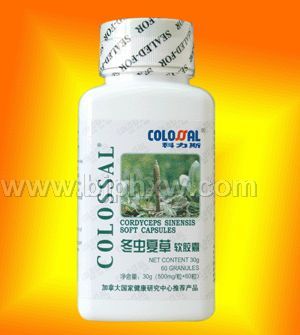 �����Ĳ�������