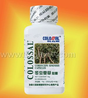 �����Ĳ�������