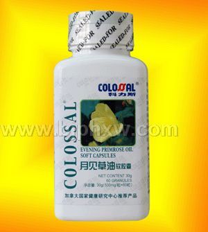 �¼�����������