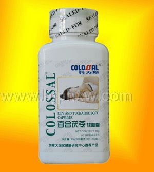 �ٺ�����������