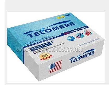 ���� ����ø���Ե��ڼ�