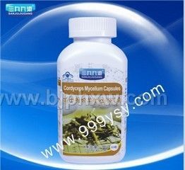 ���ų�ݽ���