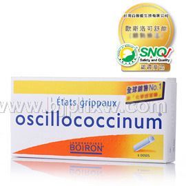 ����˳���Ʒ�ŷ˹�������