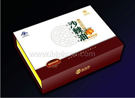 �������ƽʹ���ɳ����������