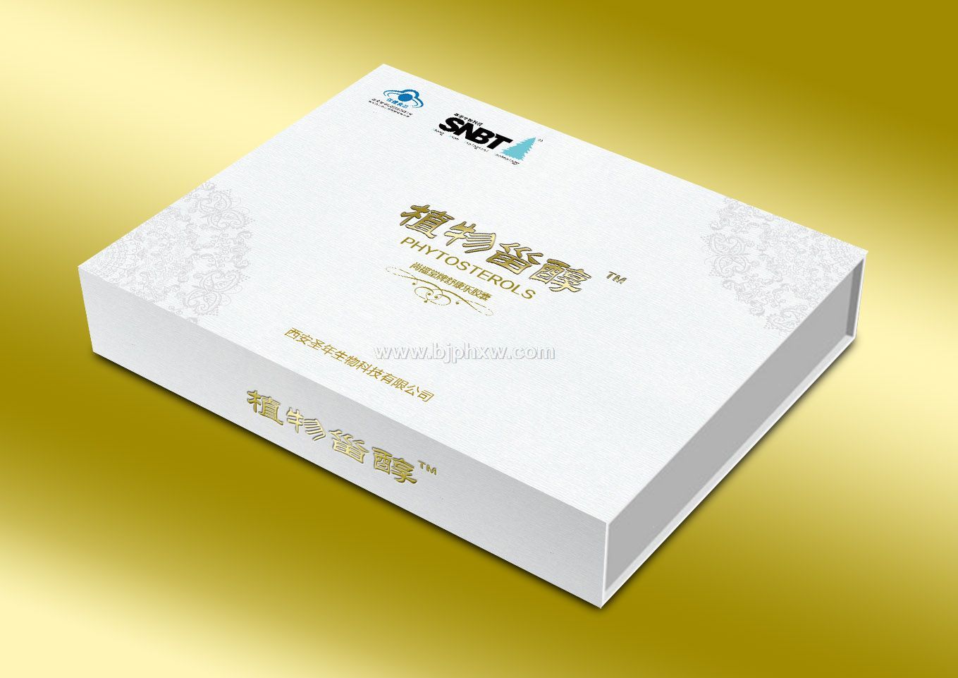 ʥ��ֲ���޴�