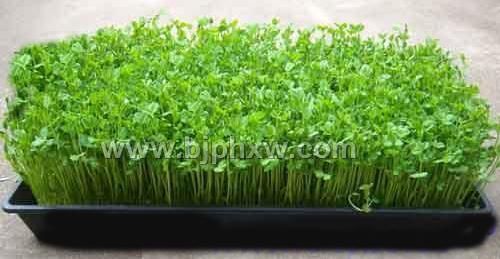 ��װ����