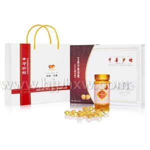 ����ɳ���������������