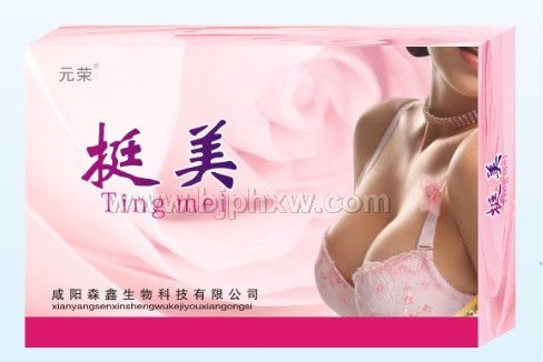 ͦ������