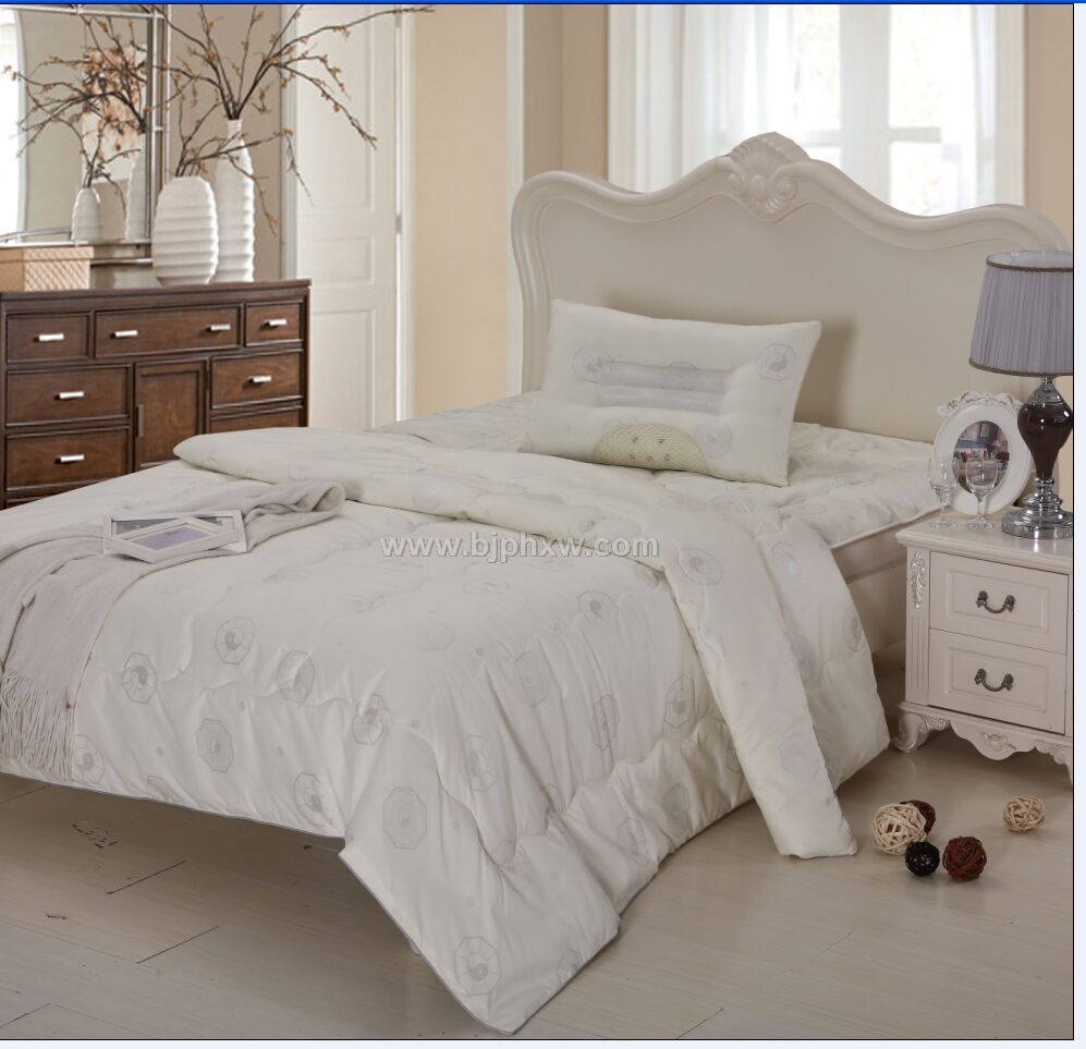 ���Ʋ�˿�� �������������