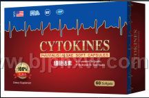 ϸ������