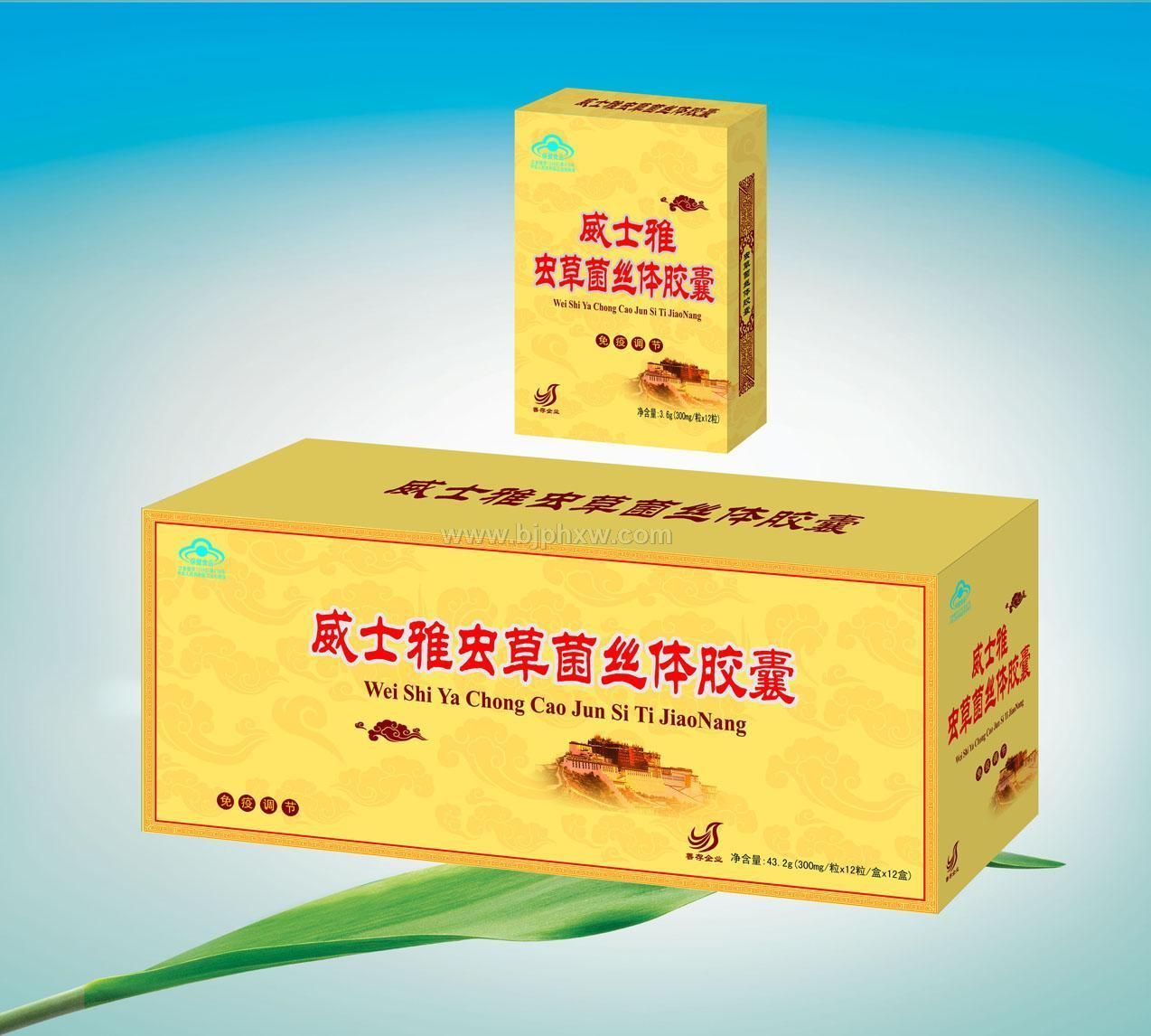 �ƴ湫˾��ݾ�˿�彺��