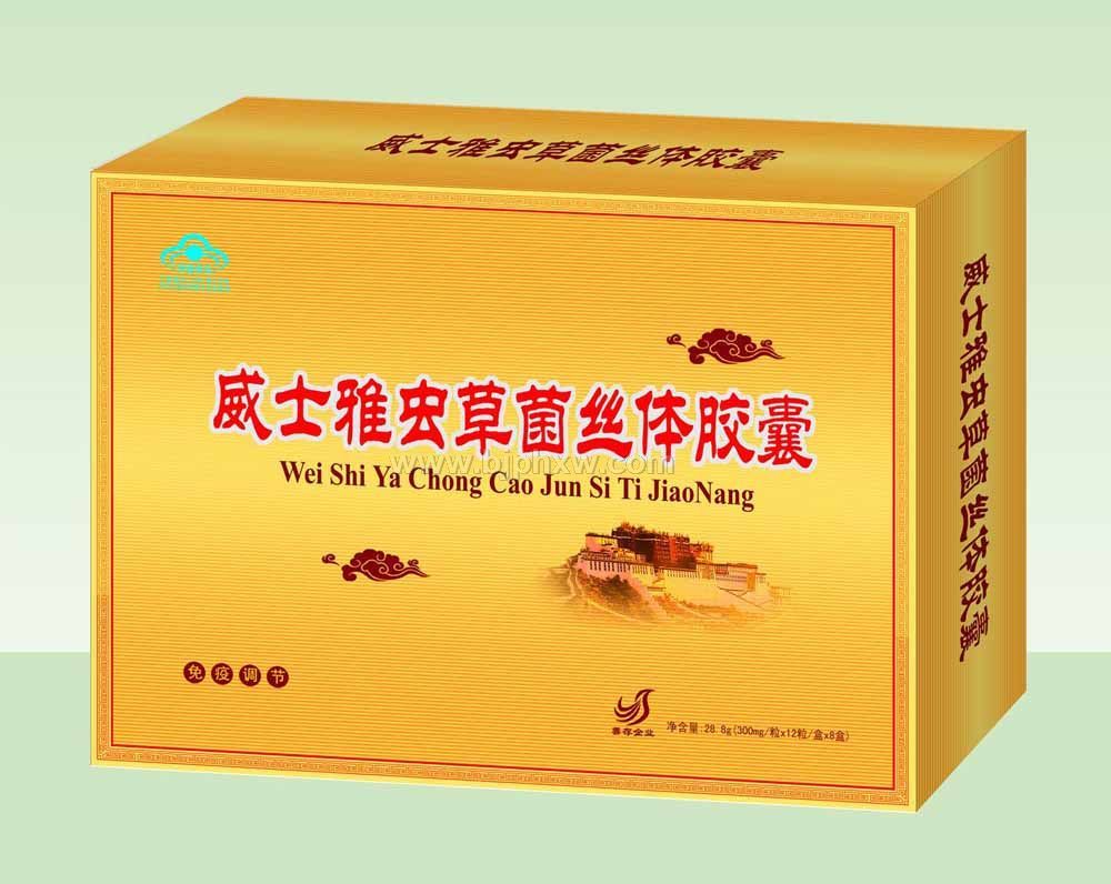 �ƴ湫˾��ݾ�˿�彺�����1