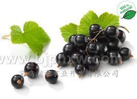 �ڼ�����ȡ�� �����طۺ��� �߹��25% �ڼ�����ȡ�ﳧ����