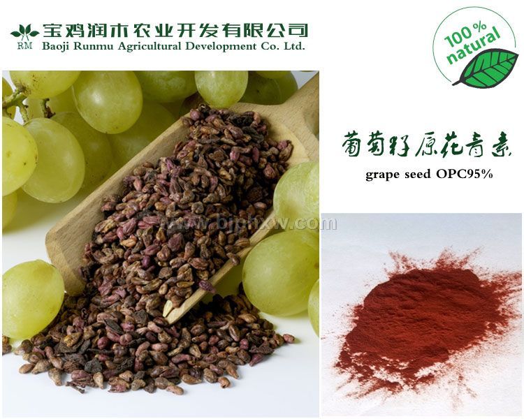 ��������ȡ�� ԭ������ OPC 95%