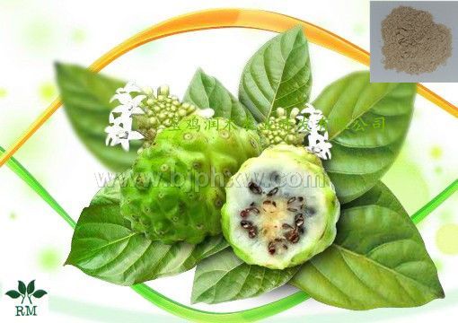 ŵ������