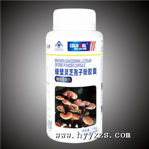 �Ʊ���֥���ӷ۽���