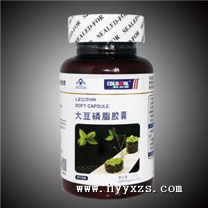 ����֬����