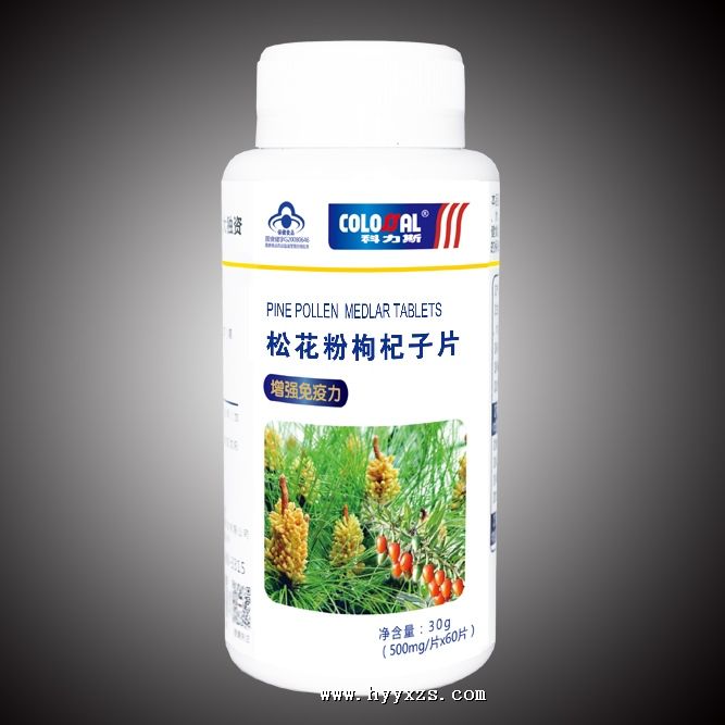 �ɻ��������Ƭ