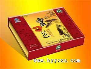 �Ʊ���֥���ӷ۽���