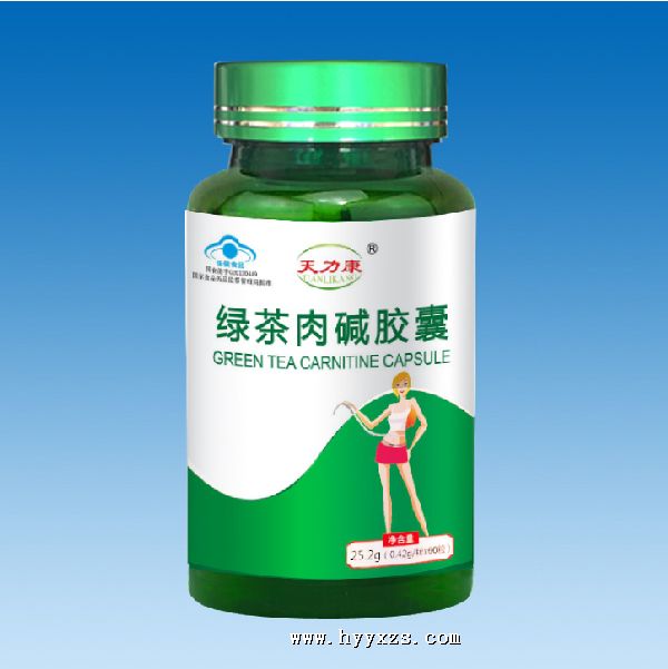 �̲�����-������ϵ��