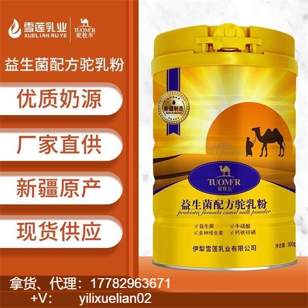 ����������������� �����̷����� �����̷�����