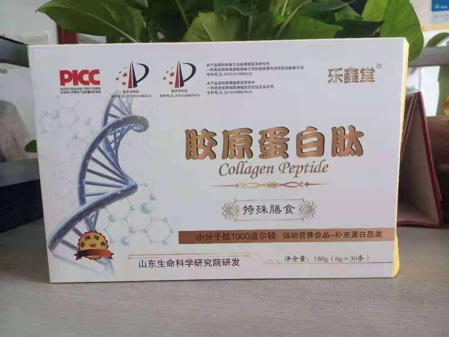 ��ԭ���������������������һ����������̴����Ź���Ⱥ