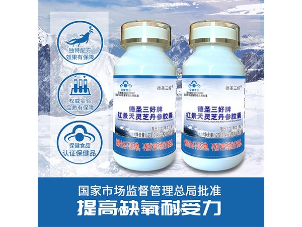 ��ʥ�����ƺ쾰����֥���ν���