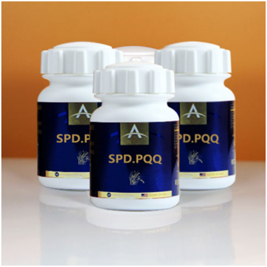 ����ԭװ����SPD.PQQ����һվʽ