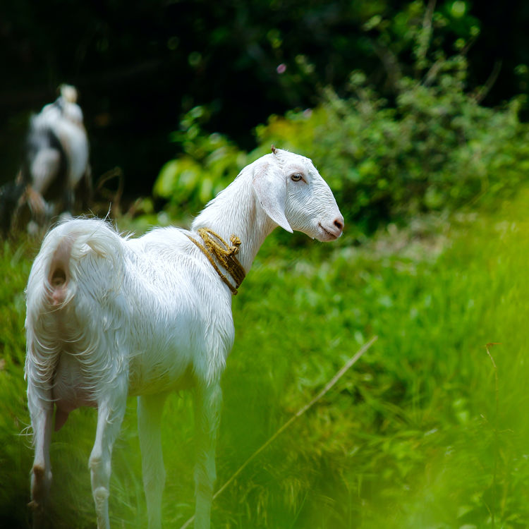 ���̷����ƴ��ӹ���ϵ�绰 ���̷�������ҵ