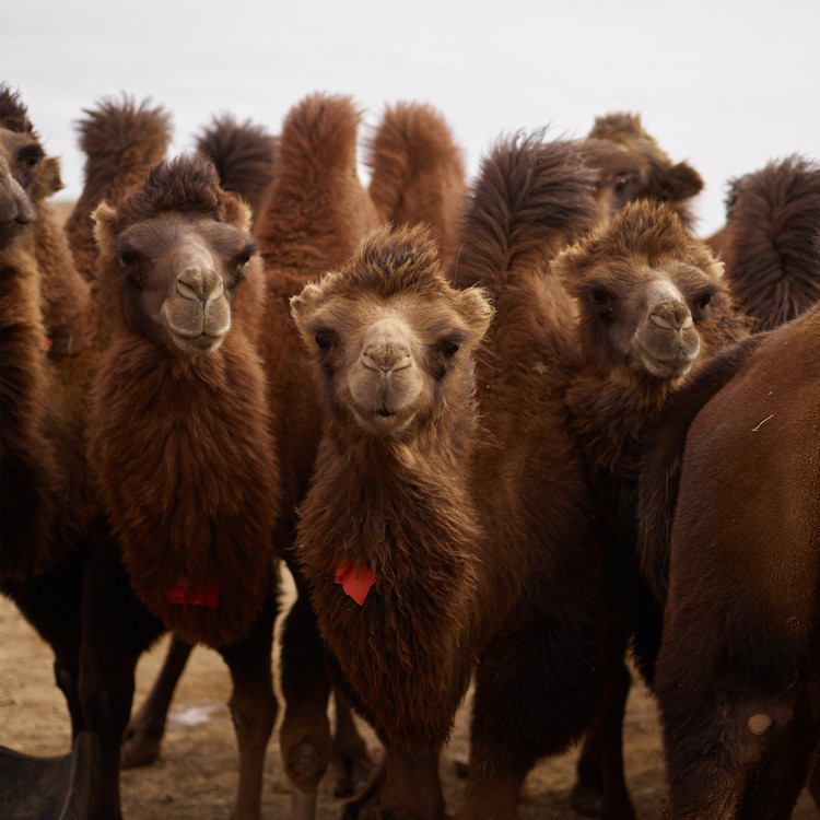 ��̨�������̷۴��ӹ� �����̷۴��ӹ�