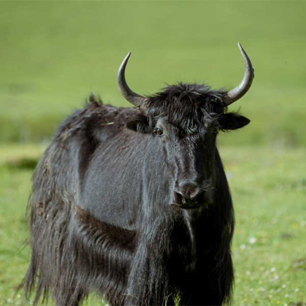 ������ţ�̷����� ���ӹ��̷۵���վ