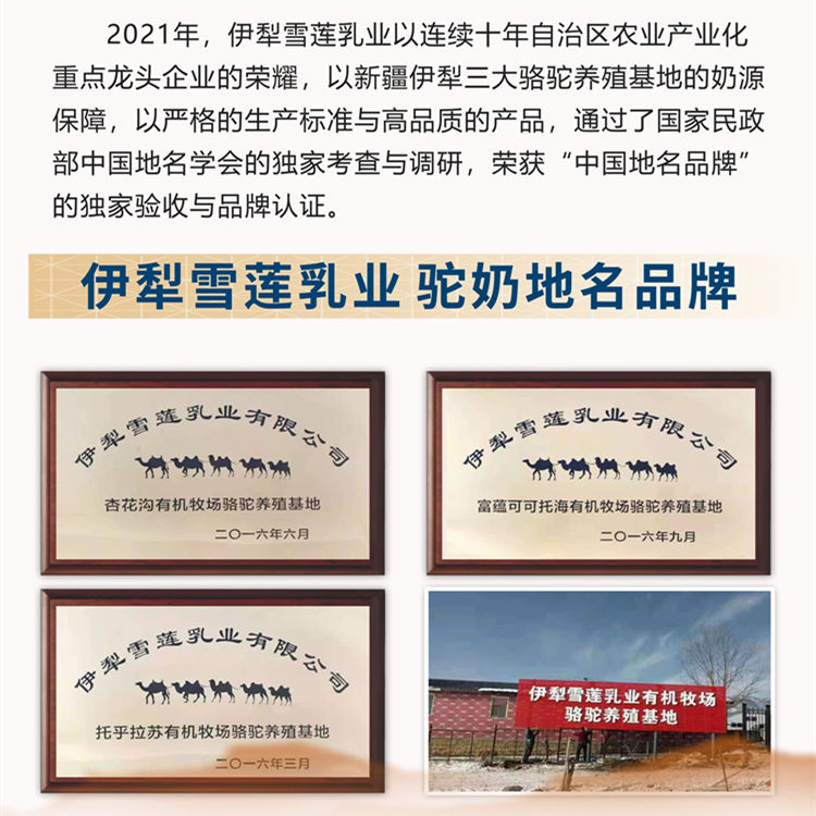 ���̷���������