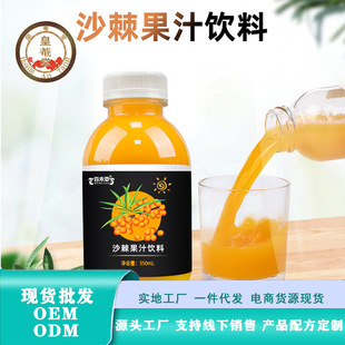 ��Ʒ���ӹ��� ɳ����֭����