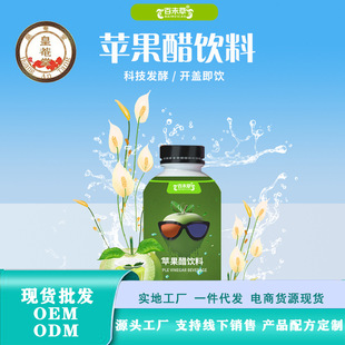 ʵ�س���ˮ����ζ���ϼӹ�����ƻ��������410ml